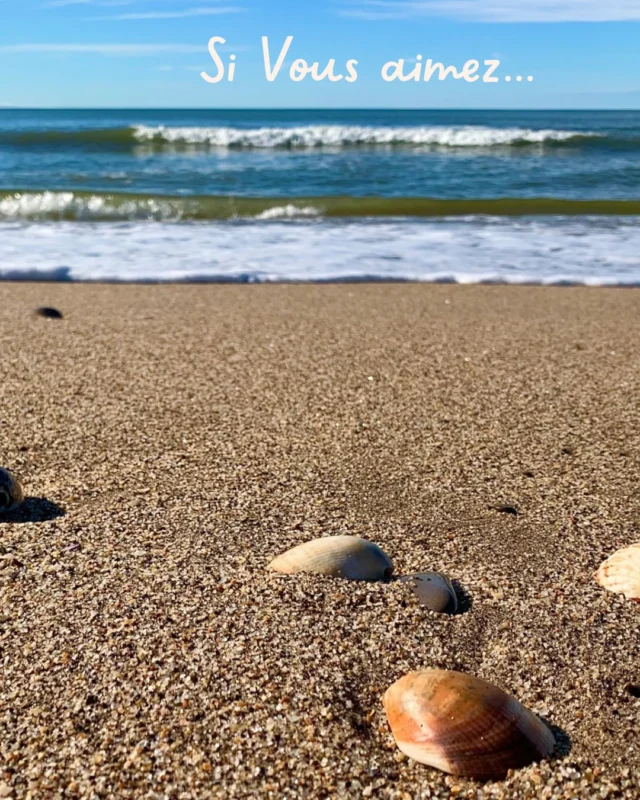 Pensez à #agde pour les vacances de Février ⚓️⛅️☀️

Si vous cherchez une alternative au ski, que vous aimez la mer & la tranquillité 

Vous allez adorer notre destination🫶
Et notre hôtel ☺️

Simplement bien 🧡 simplement @hotel.grandcap 🛎️ simplement Agde💙
@capdagdemediterranee 

Pour réserver c’est ici⬇️
📍5 rue de la citrine 34300 Agde
04 67 35 80 38 🤳

#friendlyhotel #capdagde #graudagde #hotelfrance